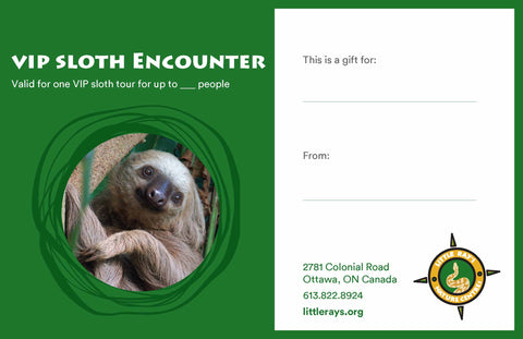 VIP Sloth Encounter Gift Certificate - CANADA